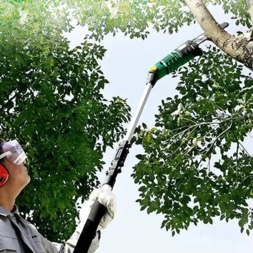 Forbici potatura albero - albero, ramo