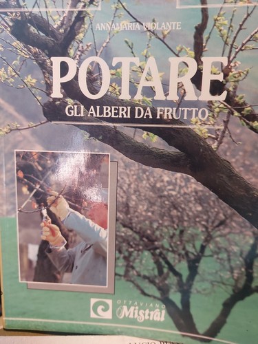 Violante potare alberi - violante, da