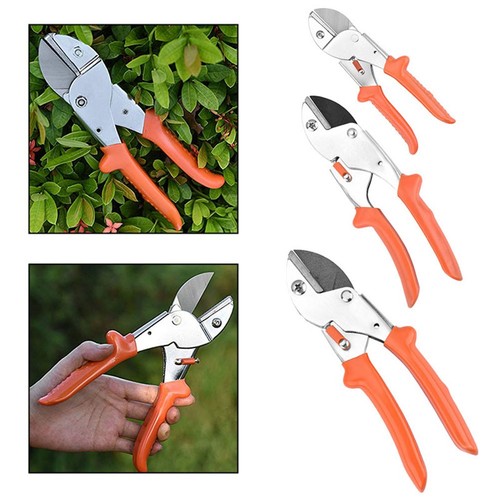Giardinaggio senza sforzo - , con