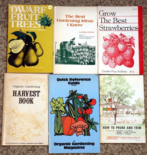 Organic gardening dwarf - gardening,