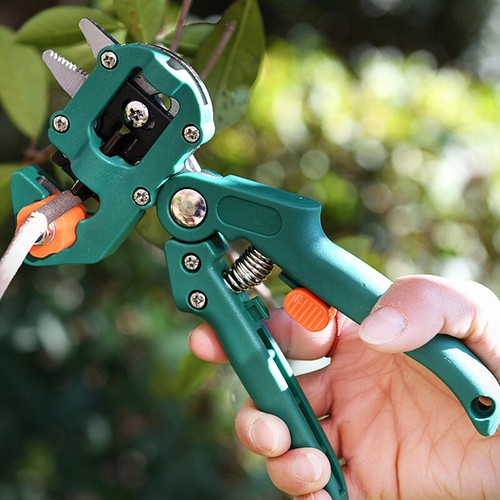 Strumento innesto giardino
