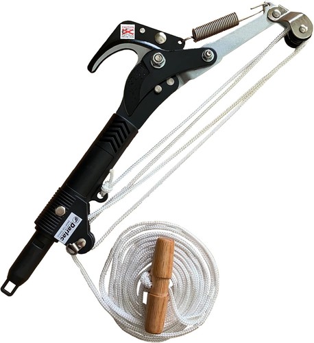 Testa potatore albero darlac - testa,
