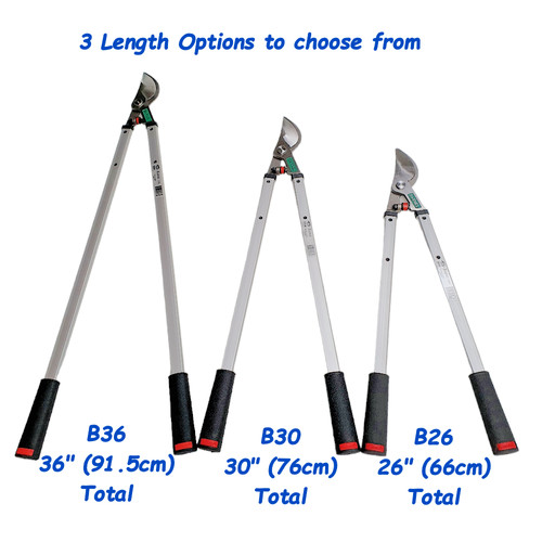 Potatore albero bypass - albero, loppers